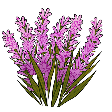 Queue &amp; Waitlist